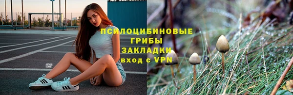 молекула духа Заводоуковск