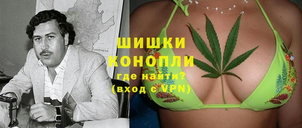 молекула духа Заводоуковск