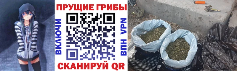 Псилоцибиновые грибы GOLDEN TEACHER  Купить закладки  Бийск 
